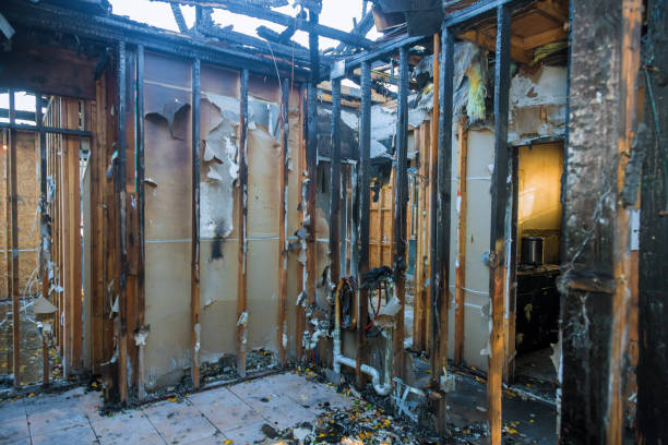 Professional Fire Damage Repair technician working in Federal Way, WA