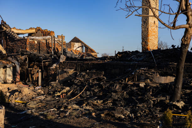 Reliable Fire Damage Repair contractor in Federal Way, WA by Fire Damage Doption