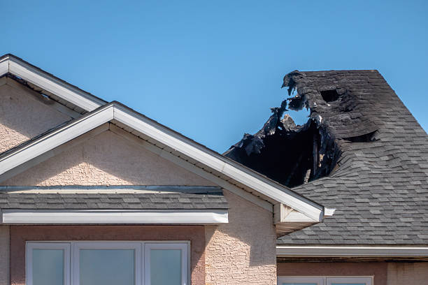 Top rated local Fire Damage Repair specialists in Federal Way, WA